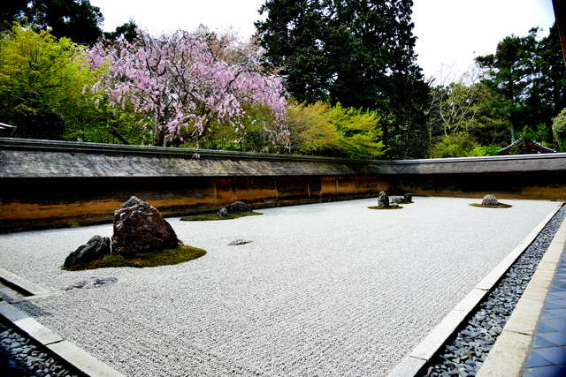竜安寺(PIXTA)