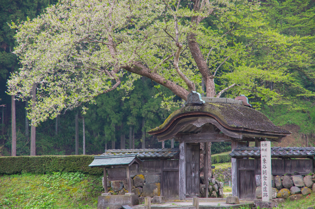 一乗谷朝倉遺跡(PIXTA)