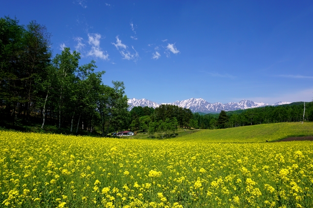 信州中山高原(PIXTA)