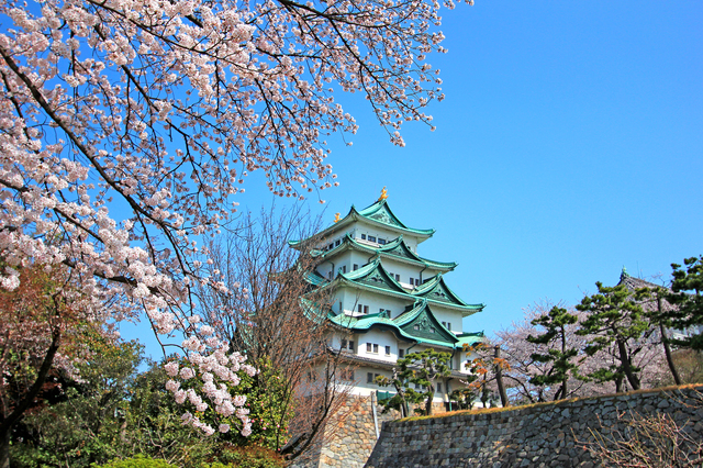 名古屋城(PIXTA)