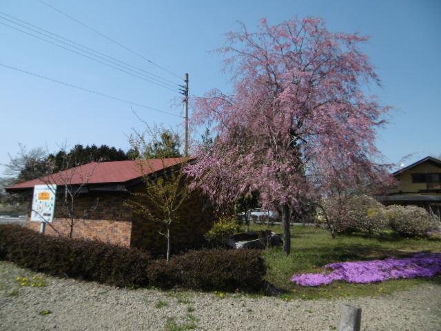 白河市アウシュビッツ博物館