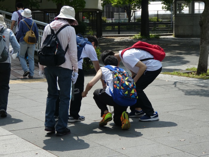「僕たちが拾います!」