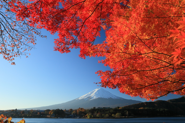 山梨ＰＨＰ友の会