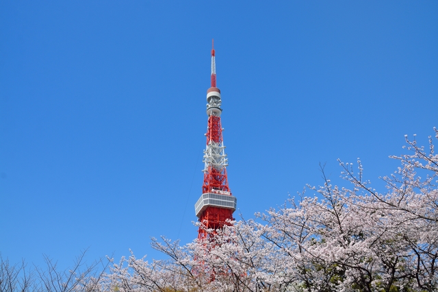 東京ＰＨＰ経営者友の会