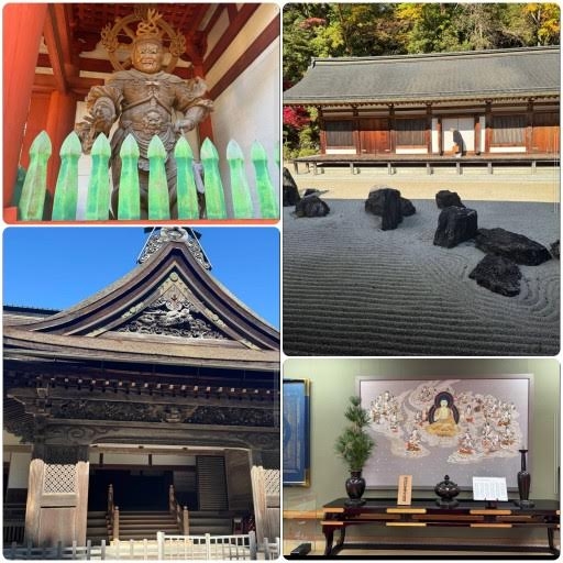 壇上伽藍の見学