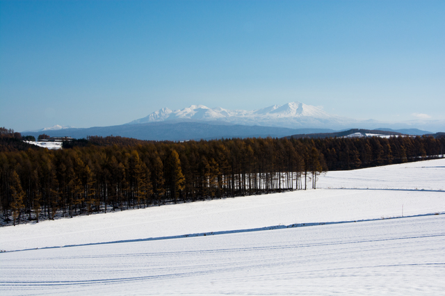 asahikawa