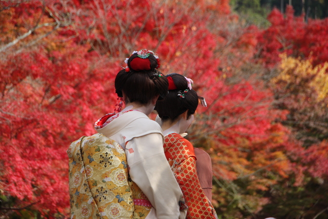 kyotomaiko