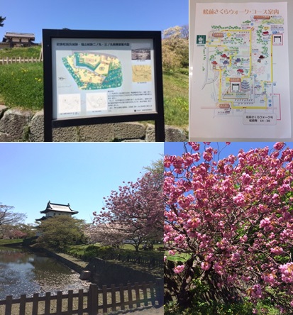 青森php友の会 北海道松前さくらお花見 を開催 Php友の会 Php Friendship Clubs 青森php友の会 北海道松前さくらお花見 を開催 Php友の会 Php Friendship Clubs